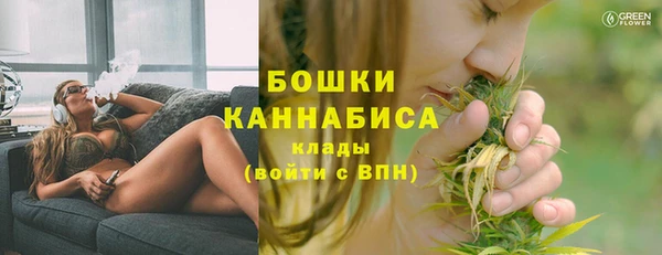 PSILOCYBIN Балабаново