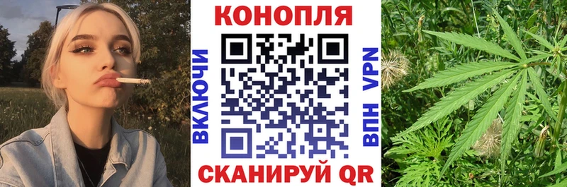 площадка как зайти  Городовиковск  Марихуана тримм 